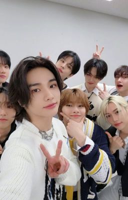 Stray kids ( avec @Seventeen_ShinSVT )