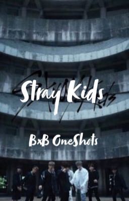 Stray Kids BxB OneShots 