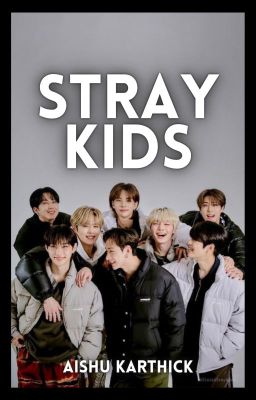 STRAY KIDS INCORRECT✔