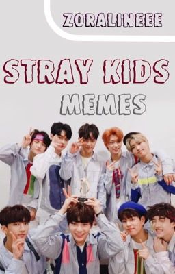 STRAY KIDS MEMES