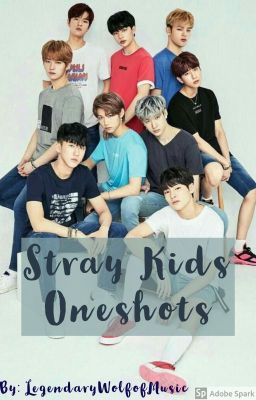 Stray Kids Oneshots