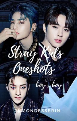 Stray Kids Oneshots 💕(BoyxBoy)