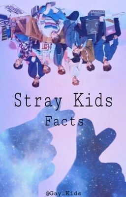 Stray Kids ✿ Profile 