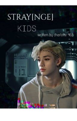 Stray(nge) Kids- Stray Kids AU