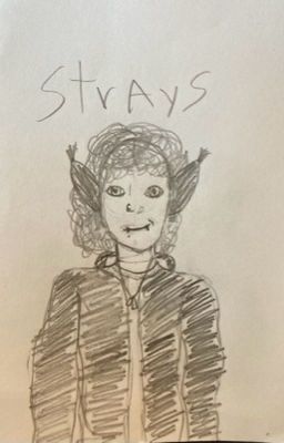 Strays ~ A Post Apocalyptic RP