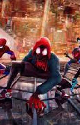 Stuck in another Dimension