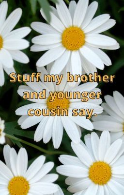 Stuff my brother and younger cousin say