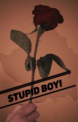 Stupid Boy! [old magcon]