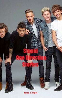 Stupid One Direction stories