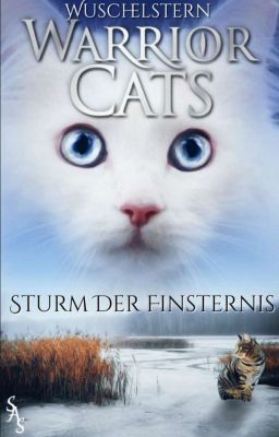 Sturm der Finsternis