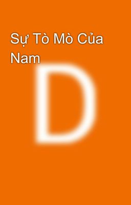 Sự Tò Mò Của Nam 