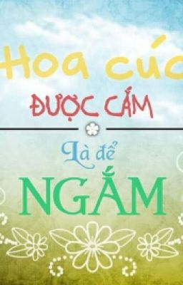 SỰ TRƯỞNG THÀNH CỦA HOA CÚC [ĐM]