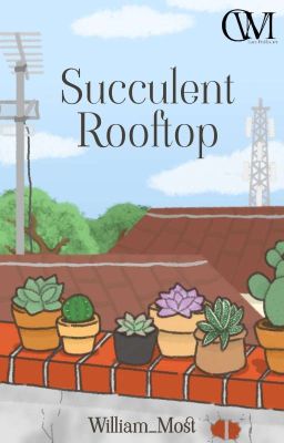 Succulent Rooftop