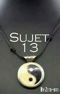 Sujet 13 [MHA fanfic']