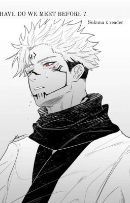 [Sukuna x Reader] 𝙷𝙰𝚅𝙴 𝙳𝙾 𝚆𝙴 𝙼𝙴𝙴𝚃 𝙱𝙴𝙵𝙾𝚁𝙴 ?