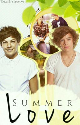 Summer Love *Larry AU*