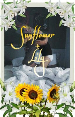 Sunflower and Lily | Larry Stylinson AU