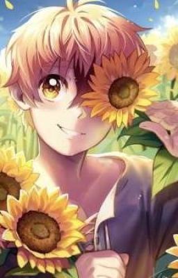 Sunflower [LC Fanfic]