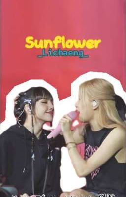 Sunflower | Lichaeng