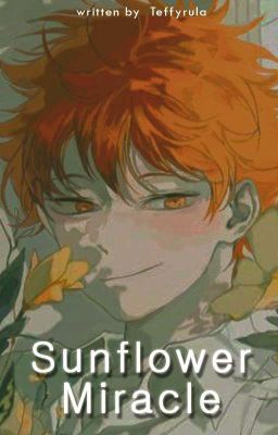 Sunflower Miracle ━ Hinata Shouyo