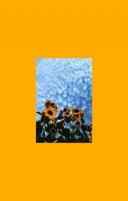 sunflower thoughts