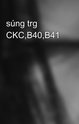 súng trg CKC,B40,B41