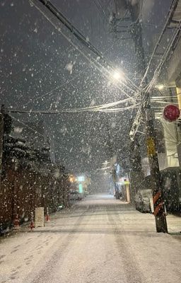 sungwon | tuyết rơi