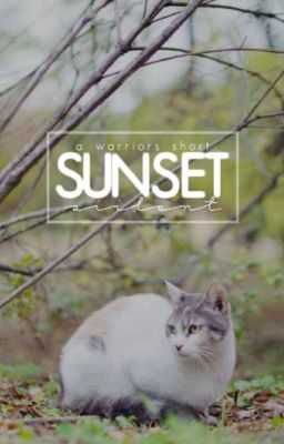 SUNSET | A Warriors Short | √