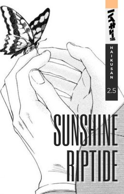 Sunshine Riptide - (Bokuto x [Nome])