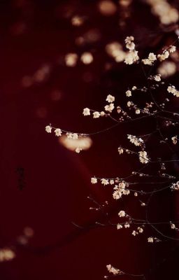 SuoSaku | A Training 