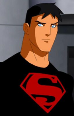 Superboy (Young Justice) x reader | Artemis's sister