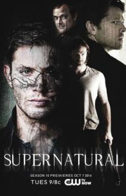 Supernatural OneShots