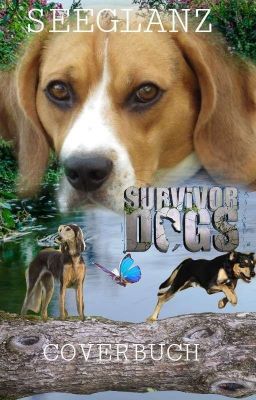 Survivor Dogs: Coverbuch 