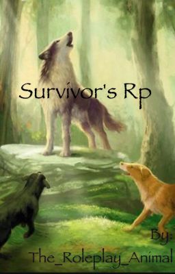 Survivor's Rp