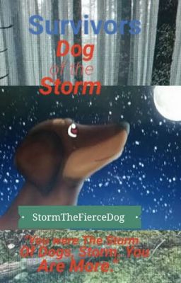 Survivors: Dog of the Storm