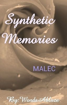 Synthetic Memories