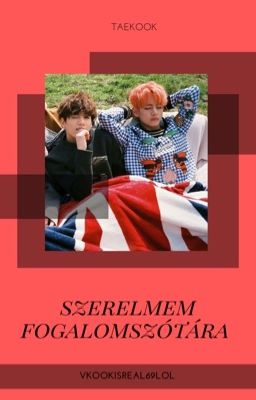 Szerelmem fogalomszótára || Taekook ||