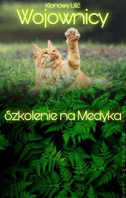 Szkolenie na Medyka | Wojownicy