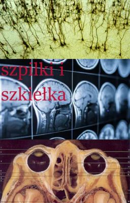 Szpilki i szkiełka [SasoDei]