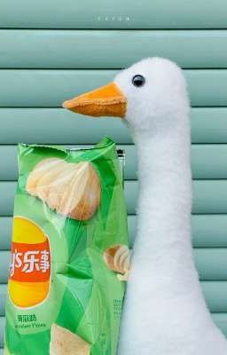 Tá Lả VĩSơn