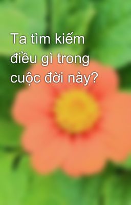 Ta tìm kiếm điều gì trong cuộc đời này?