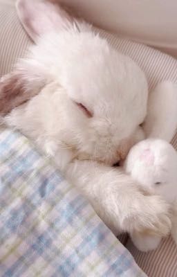 [ Taegyu ] Trùm trường thích thầm tôi 