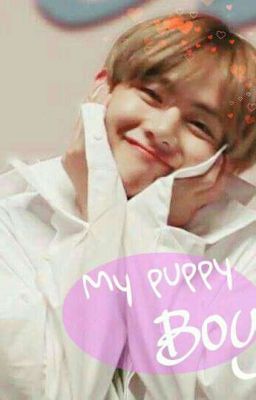 | taehyung | «cậu cún nhỏ của tôi»