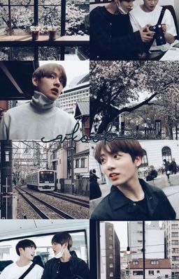 | taekook | 365 ngày sống chung