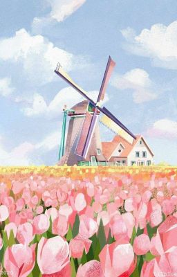 Taekook || Holland and Tulips🌷