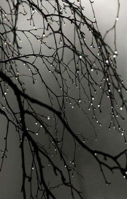 /taekook/ 𝙬𝙖𝙠𝙚 𝙪𝙥 𝙗𝙖𝙗𝙮 