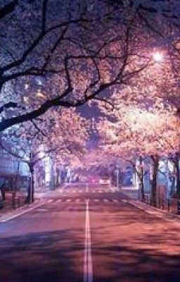 [taeyong . mark] anh đào tiên tử