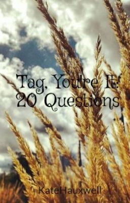 Tag, You're It: 20 Questions