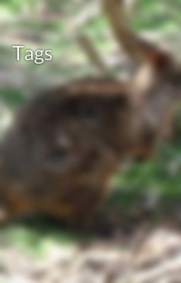 Tags