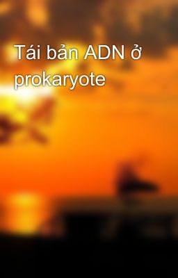 Tái bản ADN ở prokaryote